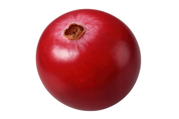 Obraz premium Glossy red cranberry highlighting natural shape, ripe surface gleaming against transparent backdrop, embodying fresh, vibrant fruit quality