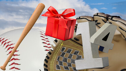 Perfect birthday card for baseball lovers' celebration, age is   14