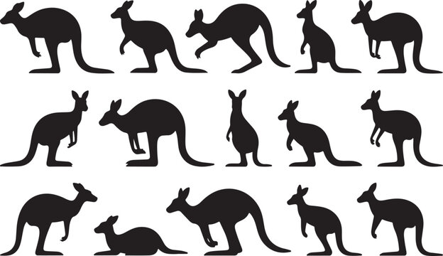 Black kangaroo silhouettes in various poses marsupial animal