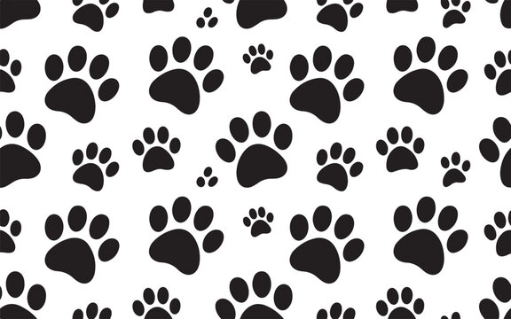 Black paw prints on white background animal