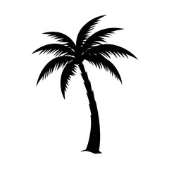 palm tree silhouette