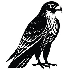 Fototapeta premium Realistic Black Silhouette Of A Falcon Resting On