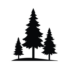 Silhouette of pine trees lined up with a small sapling