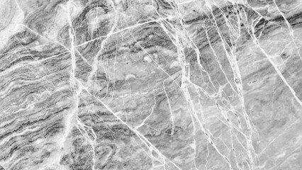 Black and white photo of a rock with a white streak. The rock is covered in dirt and has a white line running through it.