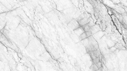 Black and white photo of a rock with a white streak. The rock is covered in dirt and has a white line running through it.