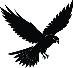 Obraz premium Top View Black Silhouette Of A Falcon Flying On White