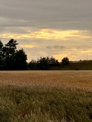 Fototapeta premium beautiful twilights at the field, field in the countryside