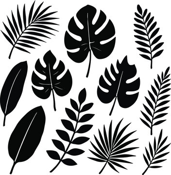 tropical Leaves Silhouette Collection, A versatile set of black tropical leaves perfect for summer designs and nature-themed projects.