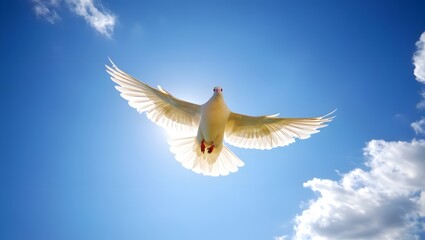 Naklejka premium White Dove Soaring Through a Bright Blue Sky with Clouds