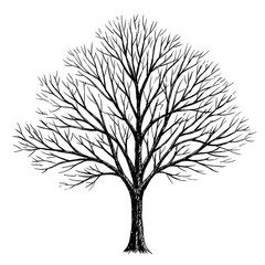 Black And White Illustration Of A Bare Winter Tree