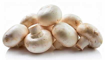 close up of fresh champignon mushrooms on white background champignon mushrooms fresh white background close up