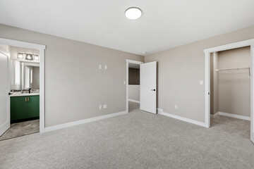 Large, empty bedroom with a green cabinet in the corner