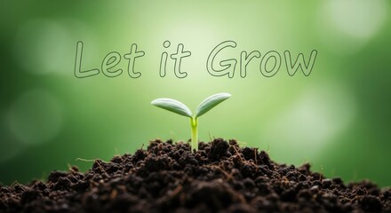 Single green sprout emerging from dark soil with text Let it Grow seedling growth