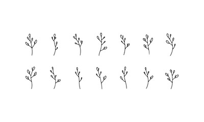 Decorative Herb Drawing. Decorative Herb Drawing captures a graceful line herb ideal for botanical-themed illustrations and modern natural decor.