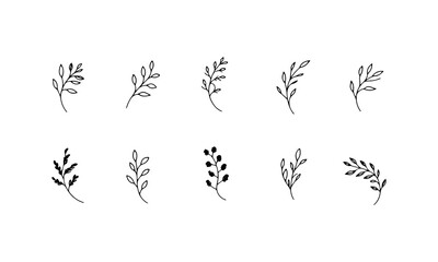 Wildflower Line Drawing. Wildflower Line Drawing features a charming hand-drawn flower with delicate details ideal for artistic floral compositions.