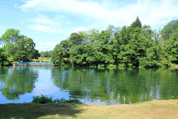 A view of the River Thames and woodlands at Cliveden Reach