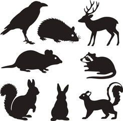 Assortment of Food and Drink Related Items