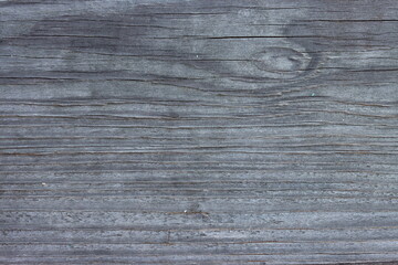 gros plan de lame de bois © GLphotographies