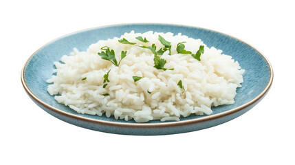 A serving of cooked white rice with cutting vegetables  neatly arranged on a blue  flat plate, isolated on a white background or transparent PNG.
