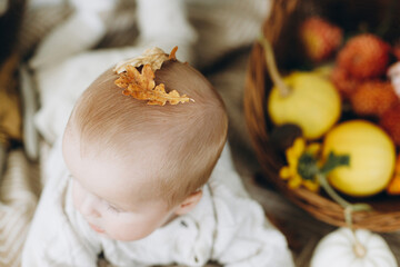 Happy cute baby boy in stylish sweater with fall leaves, pumpkins, and flowers in rustic basket on cozy scarf. Happy Thanksgiving and Halloween. Adorable infant, view above