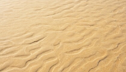 Detailed textured surface of wet sand with subtle wave patterns, curves. Natural organic abstract design formed by water erosion on sandy beach. Minimalist background for summer themes, evoking