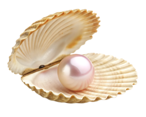 A luminous pink pearl nestled inside an open seashell against a dark background in a close up shot