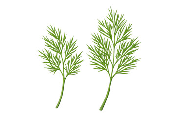 Fototapeta premium Two vibrant green dill sprigs are featured on a transparent background, ready to enhance culinary visuals