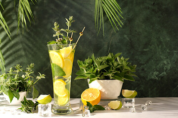 Mint alcoholic or non-alcoholic cocktail with lemon, lime, mint and ice. Modern still life with...