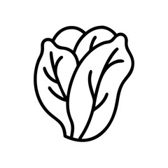 Simple graphic showing a head of lettuce with prominent leaf veins and a bold outline style design element