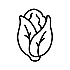 Outline drawing of a romaine lettuce head with detailed leaf veins and a rounded shape, isolated 100 chars