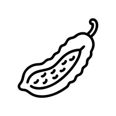 Outline drawing of a bitter melon with seeds inside on a white background for culinary designs