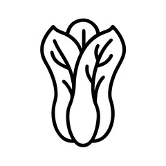Outline drawing of a leafy green vegetable resembling romaine lettuce with prominent veins and a simple style