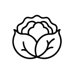 A simple graphic of a cabbage head with leaves in black outline on a white background shown in isolation