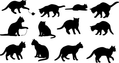Obraz premium vector isolated silhouette cat set