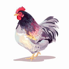 Fototapeta premium Illustration of a colorful rooster standing on a white background, showcasing its vibrant plumage and distinctive features.