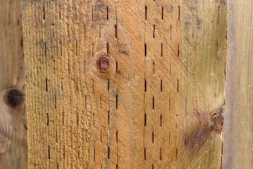 Close up of Detailed and Intricate Wood with Knots Grain Texture Background