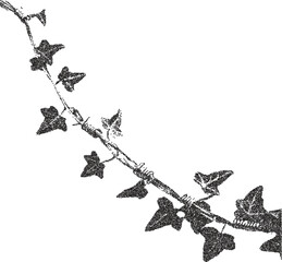 Ivy vintage y2k stipple art, vine halftone stipple brutalist retro vector png with transparent background, cling 2000s aesthetic photocopy effect tattoo © HoneyPunch