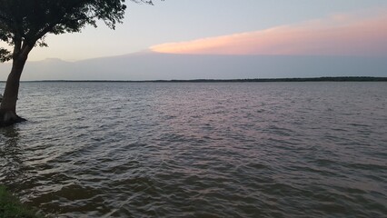 Peaceful Lakeside View with Lone Tree and Vast Water Stretching to Horizon