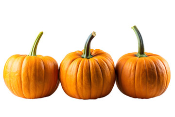 Fototapeta premium Three plump orange pumpkins are arranged in a row, isolated on a transparent background