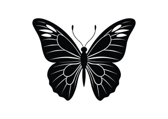 Fototapeta premium Butterfly silhouette black vector white background