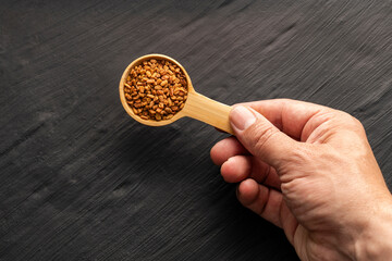Hand holding a spoon with fenugreek seeds - Trigonella foenum - graecum