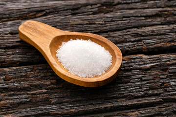 Fine grains of refined white sugar on a spoon - Saccharum officinarum