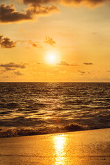Golden Sunset Reflecting on Peaceful Ocean Shore