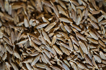 close up of rice grains
