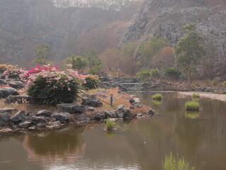 A Serene Landscape Showcasing Reflection in Water Surrounded by Vibrant Bougainvillea Flowers