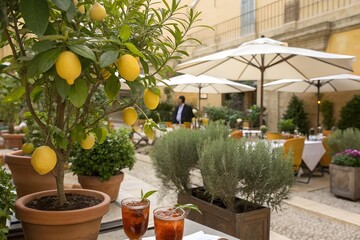 Lemon line vector drawing. Italian hand drawn doodle summer citrus fruit. Sketch lemon branch or tree in Mediterranean vase. Traditional lemonade cocktails. Amalfi or Sicily Italy coast illustration.