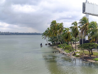 Coconut trees on the edge of the lagoon in Abidjan, Ivory Coast