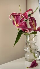 Elegant pink lilies in a transparent glass vase on a white table, capturing natural beauty, floral decor, and a minimalist home interior vibe