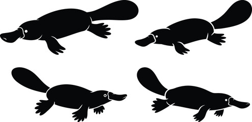 Silhouettes of platypus animals in different poses on white background