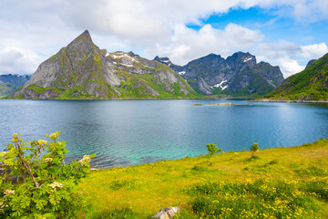 Fototapety na wymiar - Fototapeta24.pl